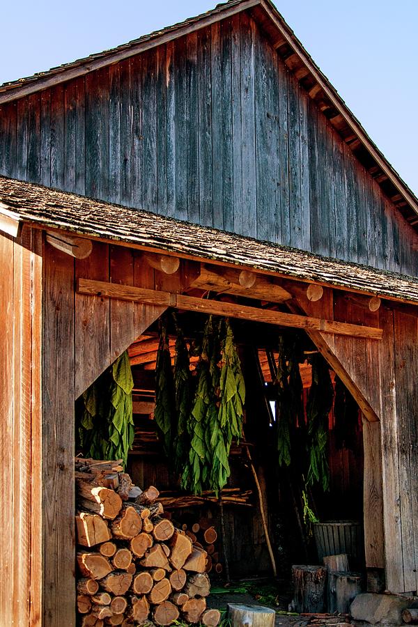 Barn Tobacco Shed Photograph by Jerry Sodorff
