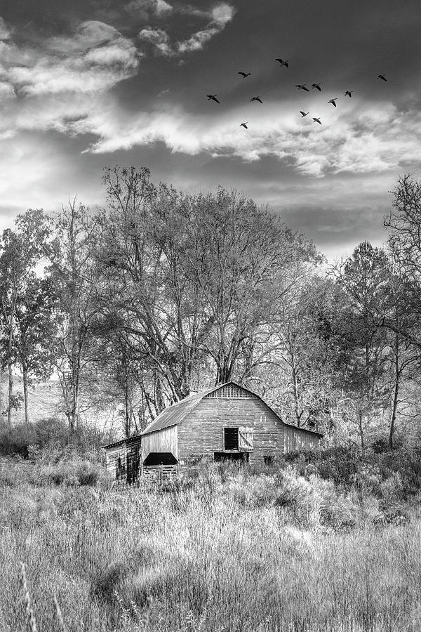 Barn Under Sunrise Skies Black and White Photograph by Debra and Dave Vanderlaan