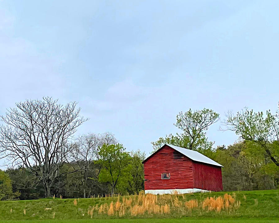 Barn with Beard Photograph by Lee Darnell