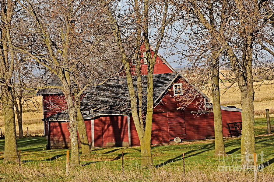 Barn With Tree Line Photograph by Kathy M Krause