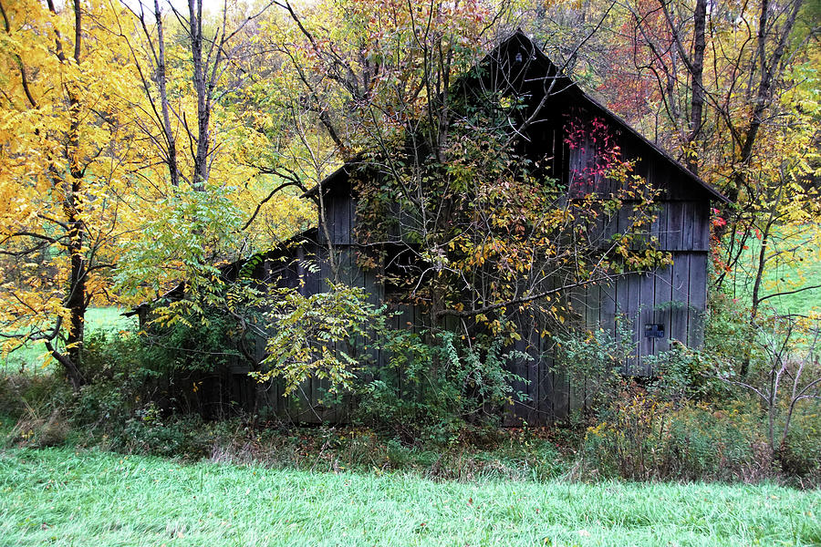 Barn Wrapped in Fall Photograph by Mike Murdock