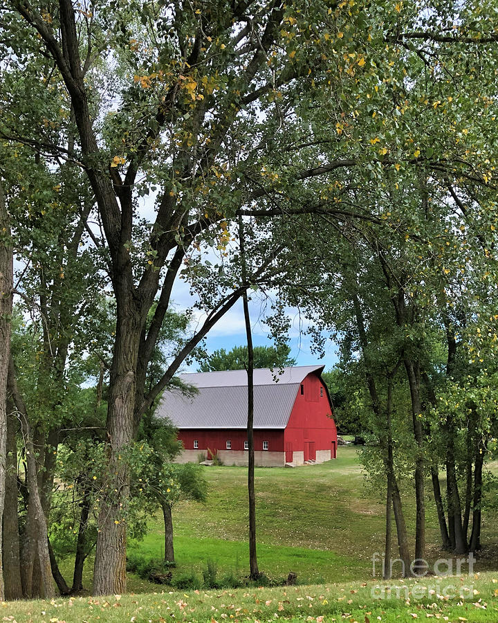 Barn Yard Through The Trees Photograph by Kathy M Krause
