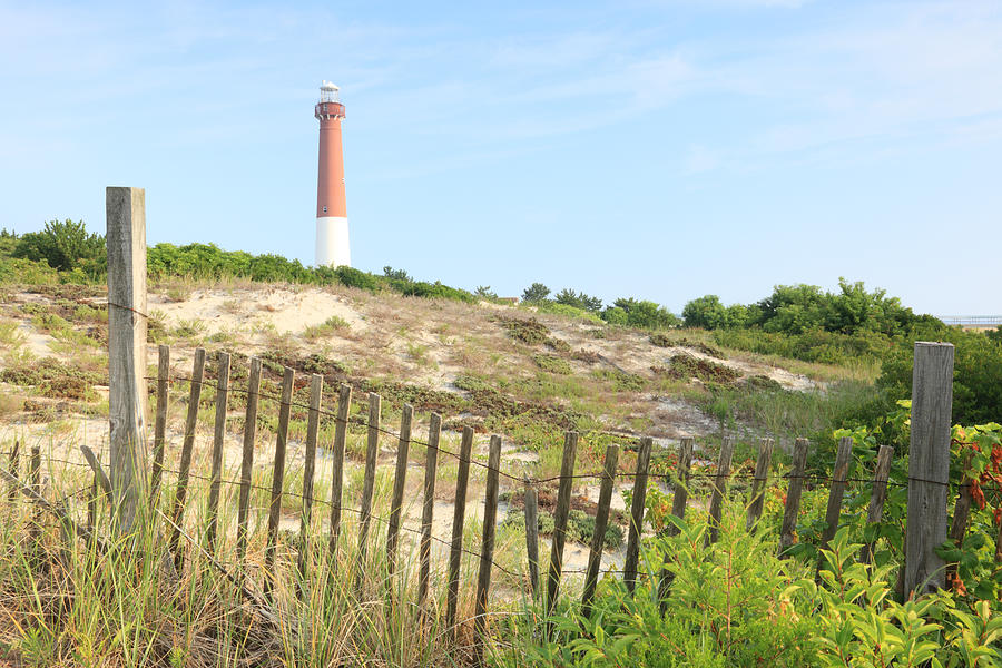 Barnegat Lighthouse, New Jersey Photograph by Jumper