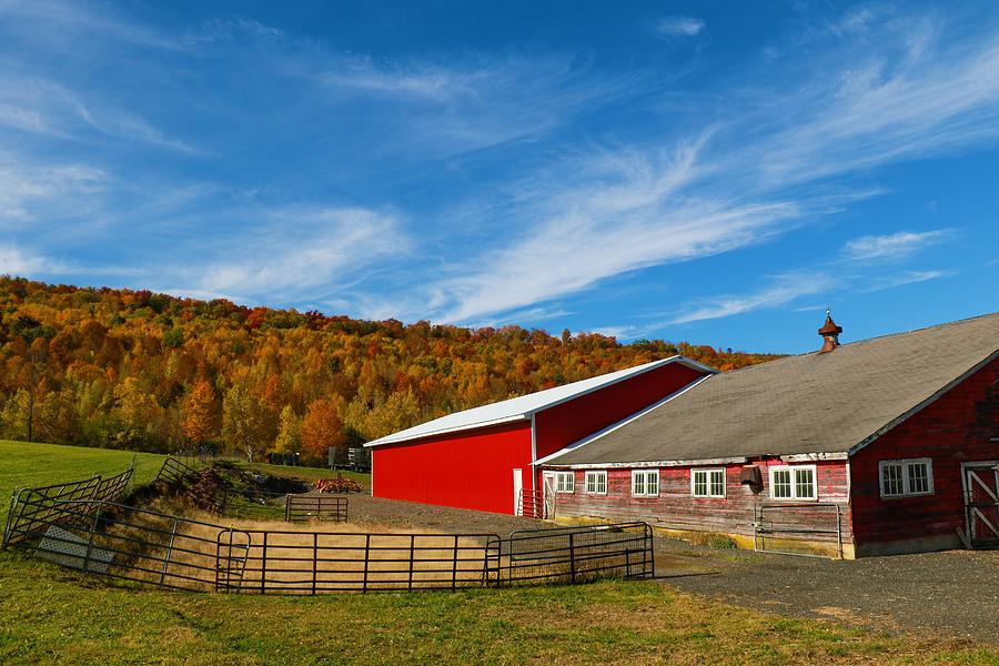 Barns and the Foliage Photograph by Debbie Storie - Fine Art America