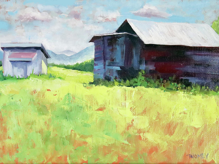 Barns Eye View Painting by Catherine Twomey