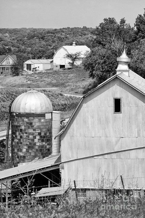 Barns on the Curve Photograph by Jan Day