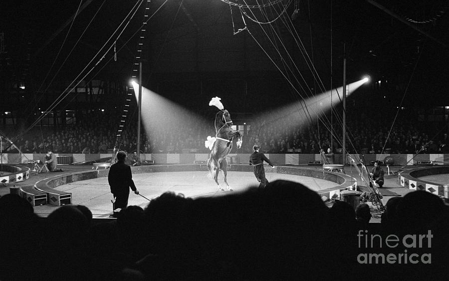 Barnum And Bailey Circus, 1964 Photograph by Winifred Walter