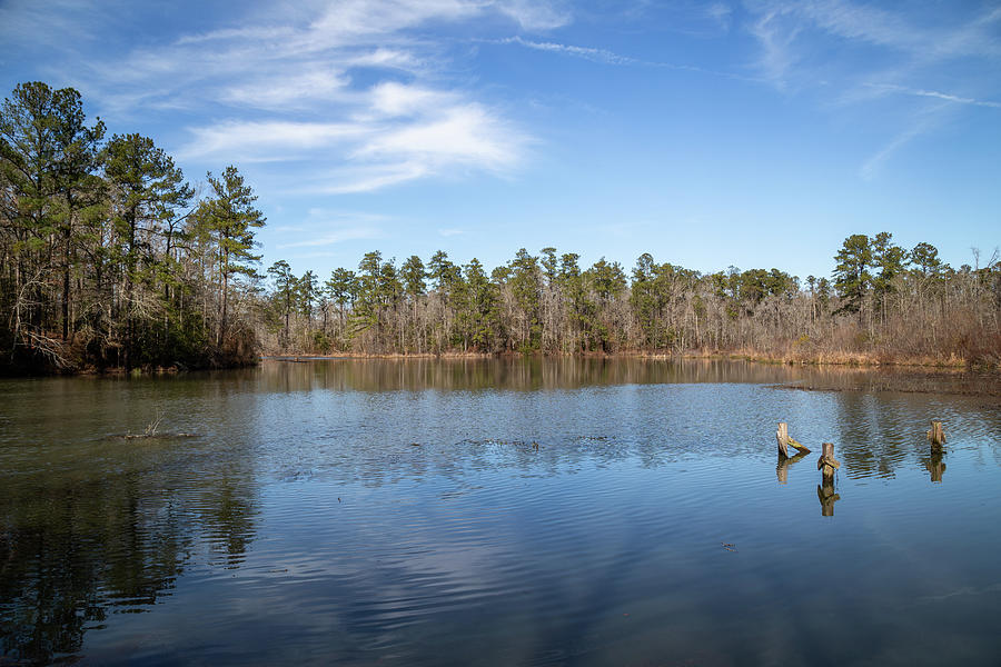 Lake View Barnwell State Park Photograph by Cindy Robinson