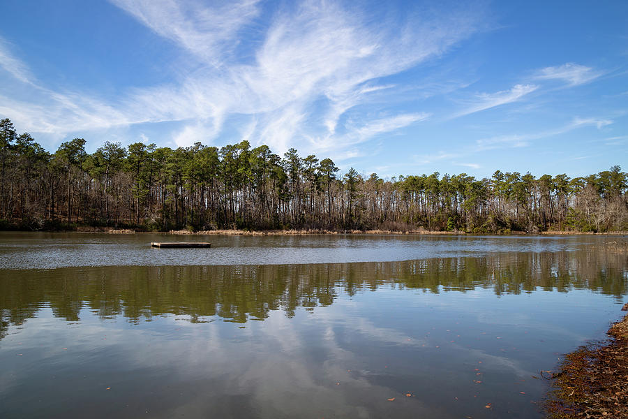 Floating Dock at Barnwell State Park Photograph by Cindy Robinson | Pixels