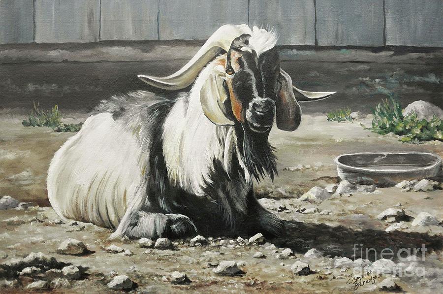 Old Goat in the Barnyard Painting by Suzanne Schaefer