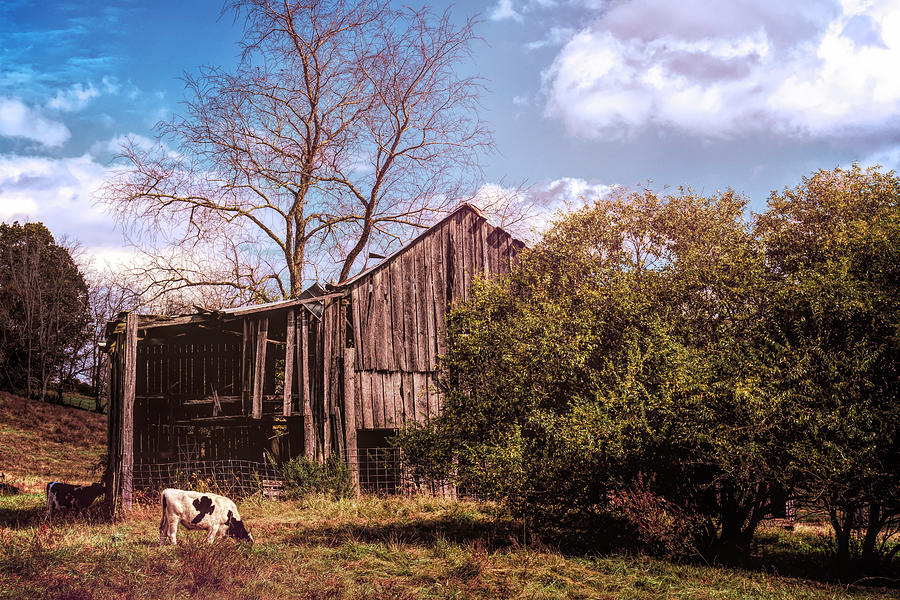 Barn Photograph - Barnyard Shadows by Jim Love