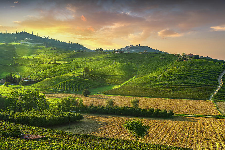 Barolo wine vineyards and La Morra town. Langhe, Italy Photograph by Stefano Orazzini