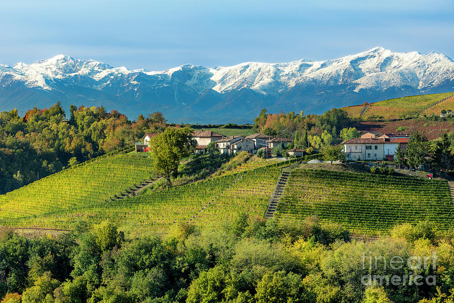 Barolo Wine Country - Piemonte Italy Photograph