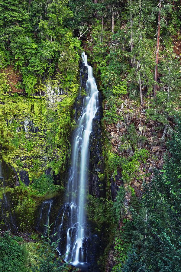 Barr Creek Falls Photograph by Aaron Olsen