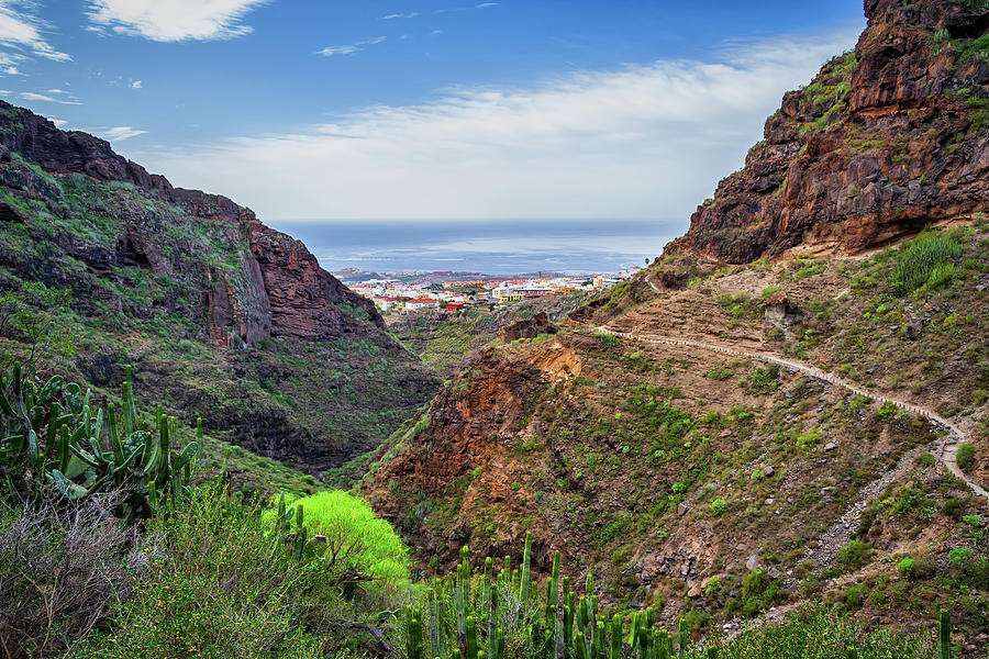 Barranco del Infierno Hell Gorge Landscape in Tenerife Photograph by Artur Bogacki