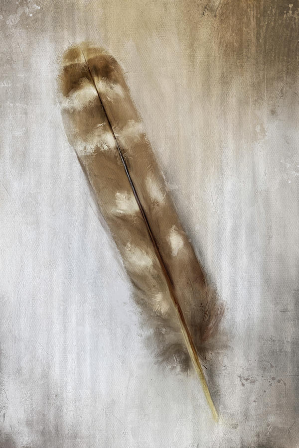 Barred Feather Painting by Jai Johnson
