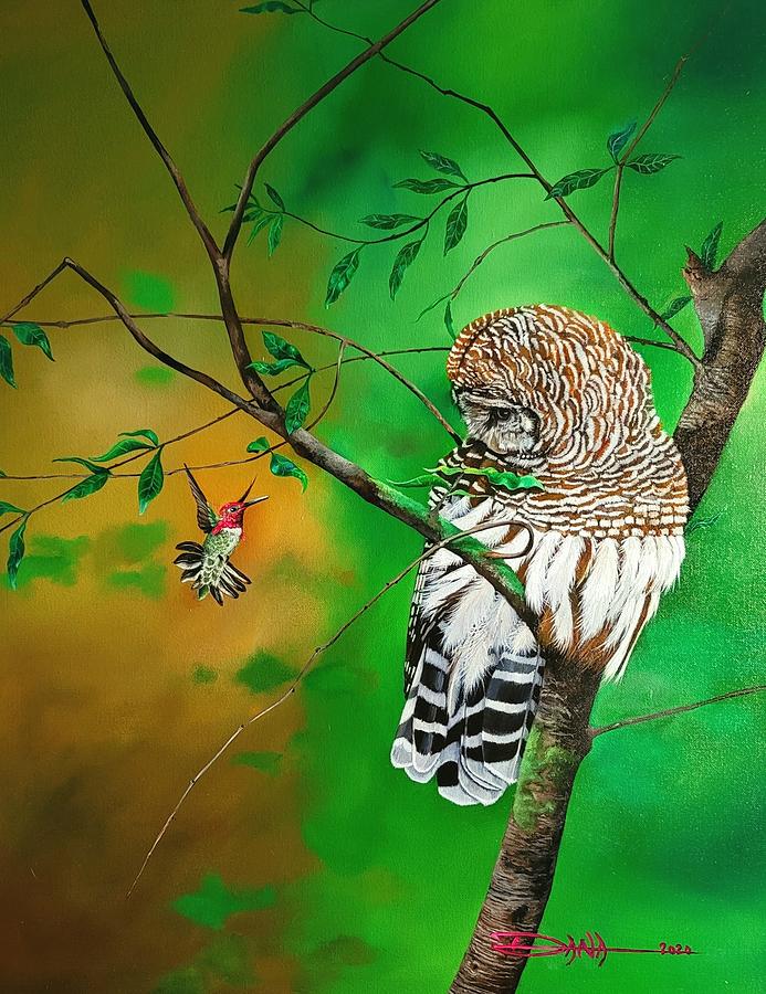 Barred Owl and Annas hummingbird  Painting by Dana Newman