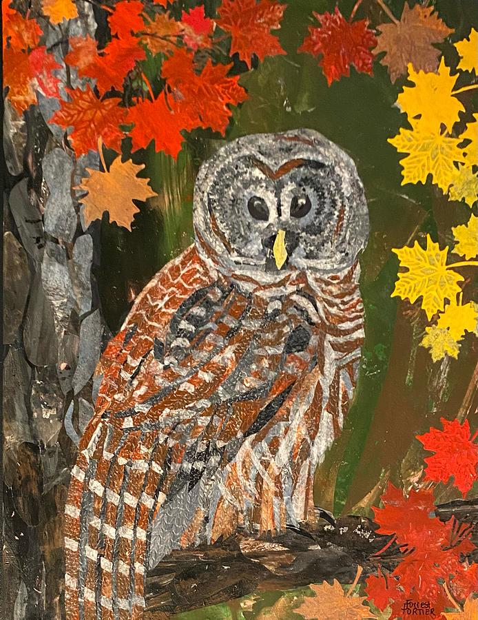 Barred Owl Painting