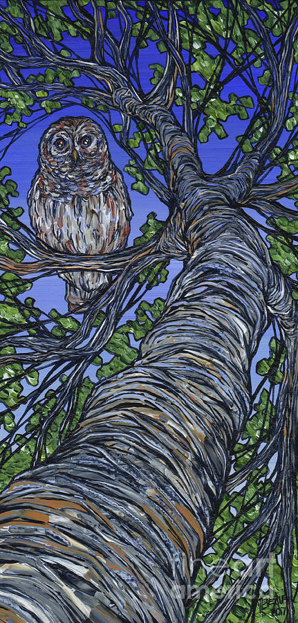 Barred Owl in Birch Tree Painting by Tracy Levesque