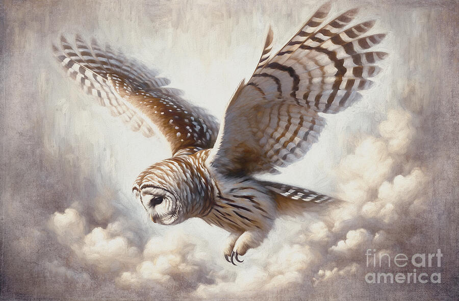 Wildlife Mixed Media - Barred Owl in Flight by Maria Angelica Maira