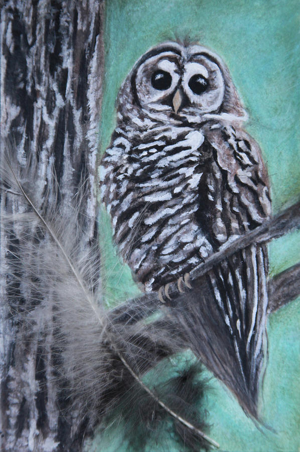 Barred Owl Painting by Tammy Pool