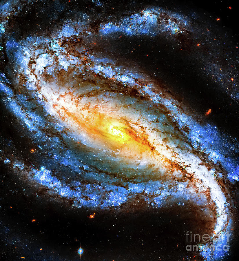 Barred Spiral Galaxy in Constellation Sculptor Photograph by M G Whittingham
