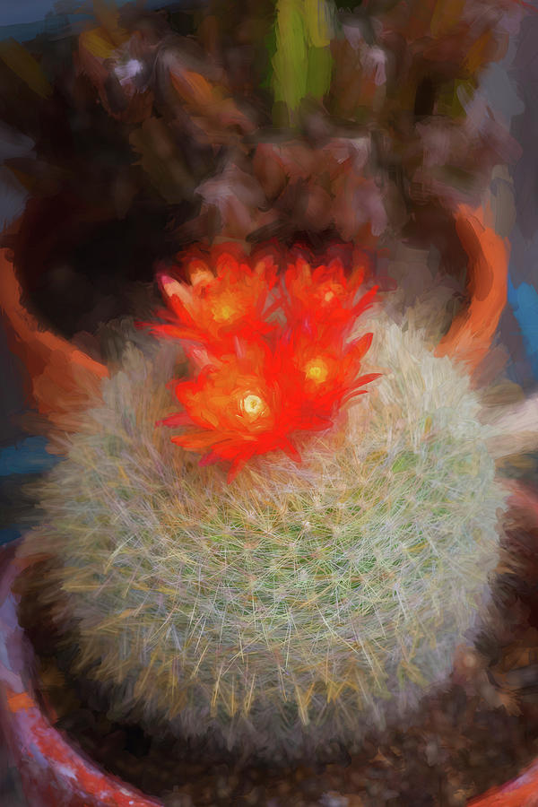 Barrel Cactus Echinocactus Grusonii 102 Photograph by Rich Franco
