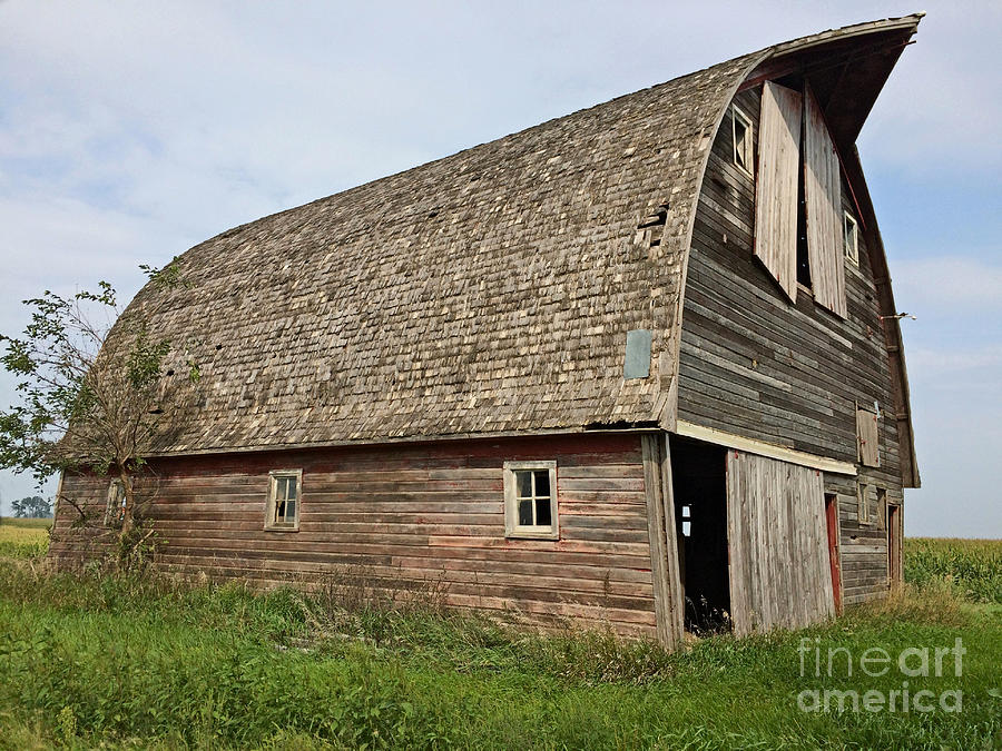 Barrel Roof Barn Photograph by Kathy M Krause
