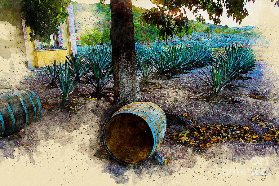 Barrels and Agaves Digital Art by Marisol VB