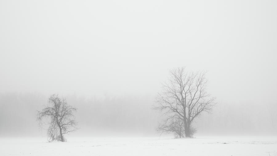 Barren and Cold Photograph by Monte Stevens