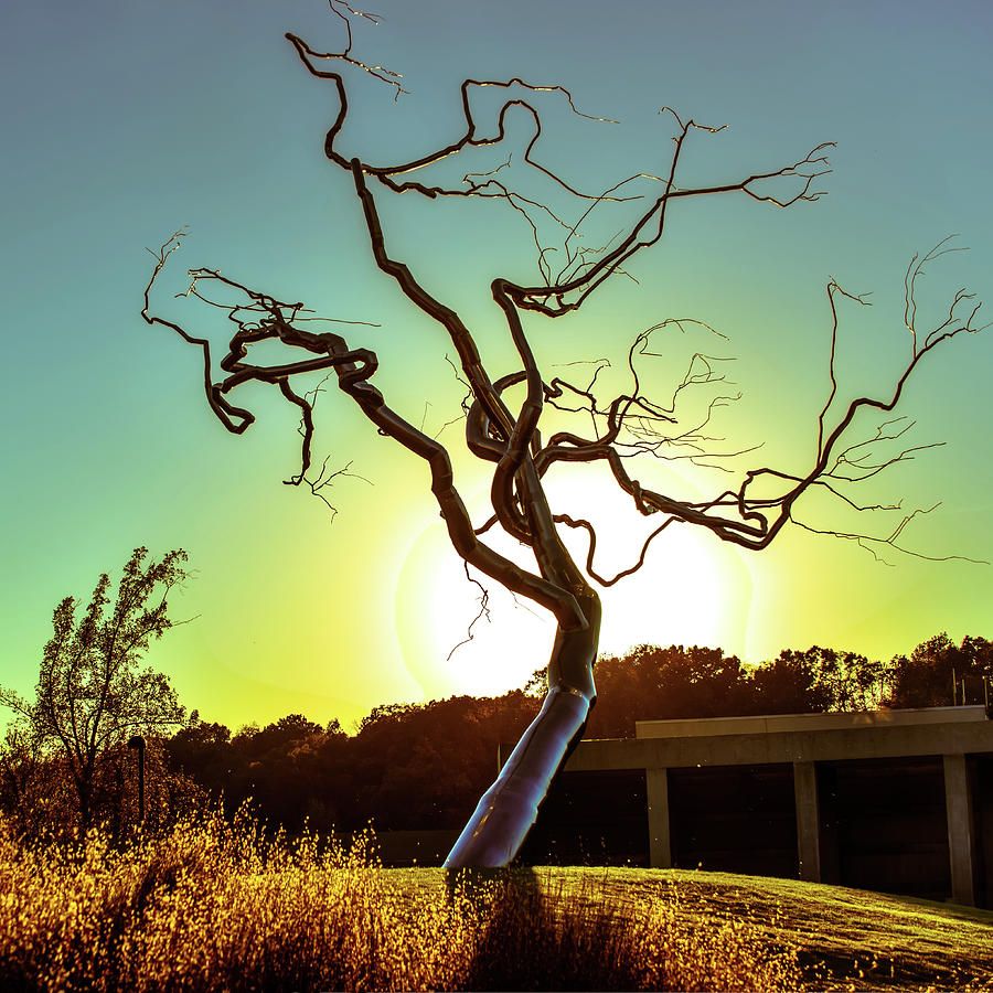 Barren But Beautiful Photograph by Gregory Ballos Barren But Beautiful Photograph by Gregory Ballos