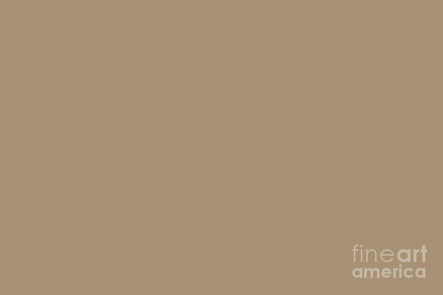 Barren Sand Solid Color Craftsman Brown SW 2835 Digital Art by PIPA ...