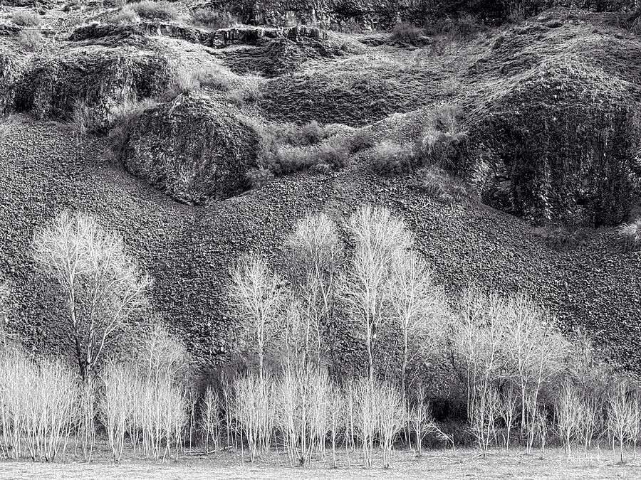 Barren Winter Landscape - Black and White Photograph by Jerry Abbott