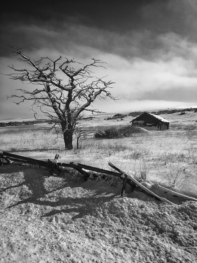 Barren Winter Landscape Photograph by Jerry Abbott