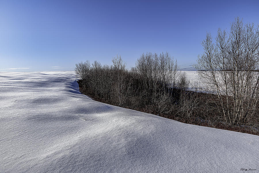 Blueberry Barrens Photograph - Barrens Winter Landscape by Marty Saccone