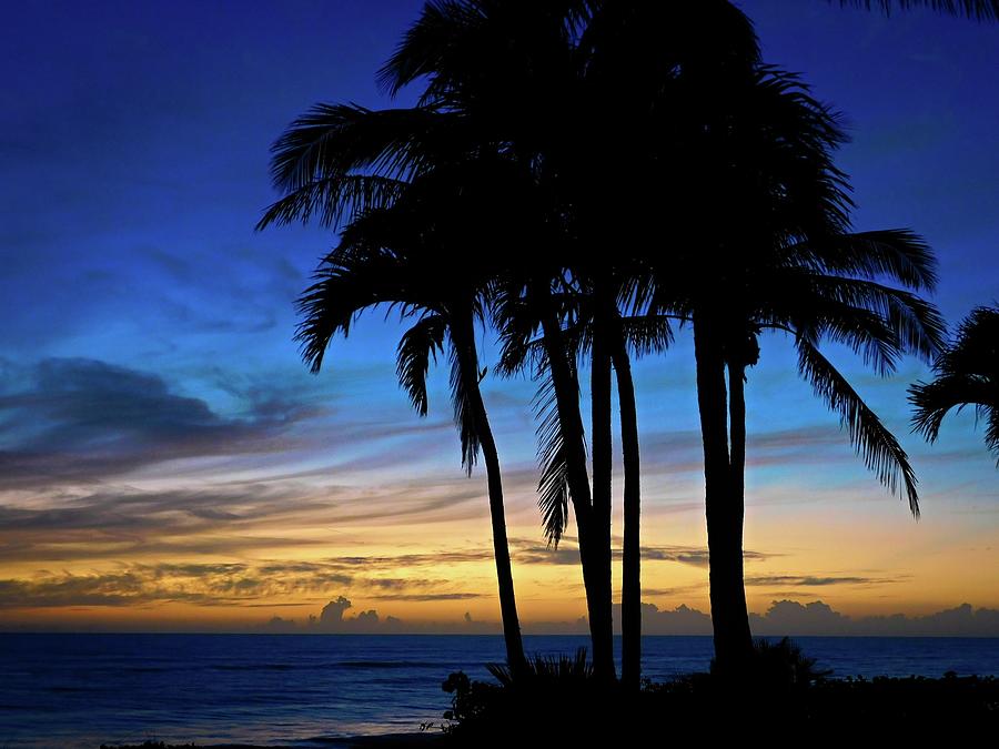 Barrier Island Photograph by Jerry O'Rourke - Fine Art America