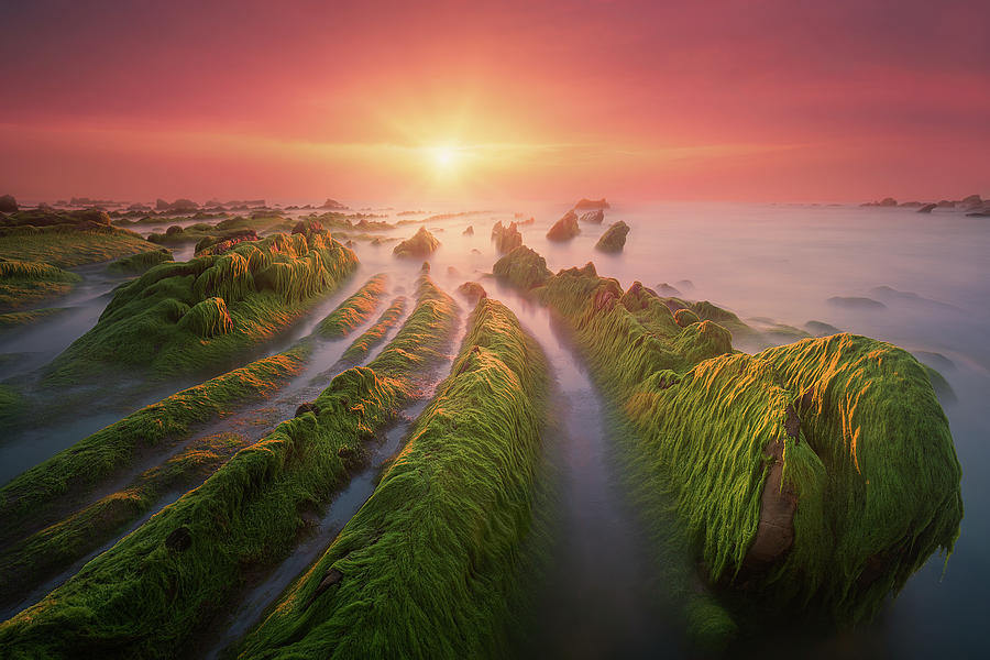 Barrika in green Photograph by Mikel Martinez de Osaba