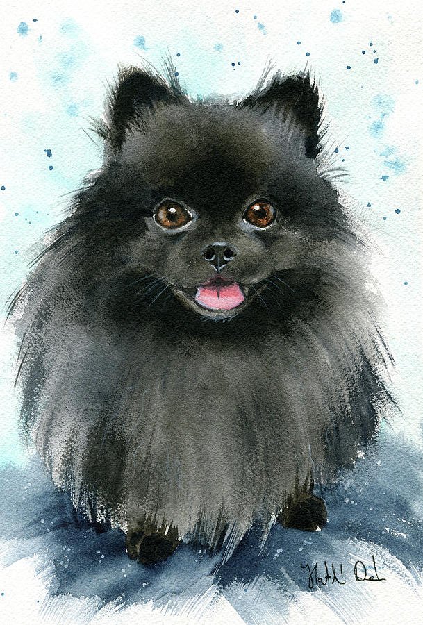 Barry Black Pomeranian Dog Painting Painting by Dora Hathazi Mendes