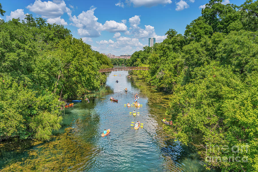 Austin Photograph - Barton Springs by Bee Creek Photography - Tod and Cynthia