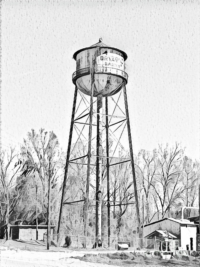 Bartow Water Tower Photograph by Audrey Peaty