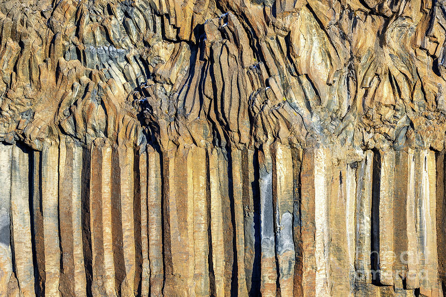 Basalt columns at Aldeyjarfoss waterfall, Iceland. The columns w Photograph by Jane Rix