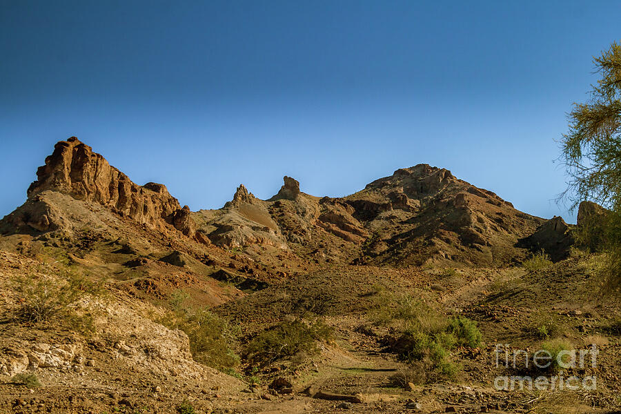 Base Of Gila Mountains Photograph By Robert Bales - Fine Art America