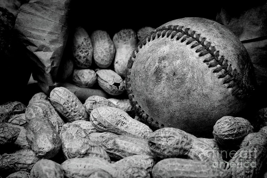 Baseball and Peanuts black and white Photograph by Paul Ward