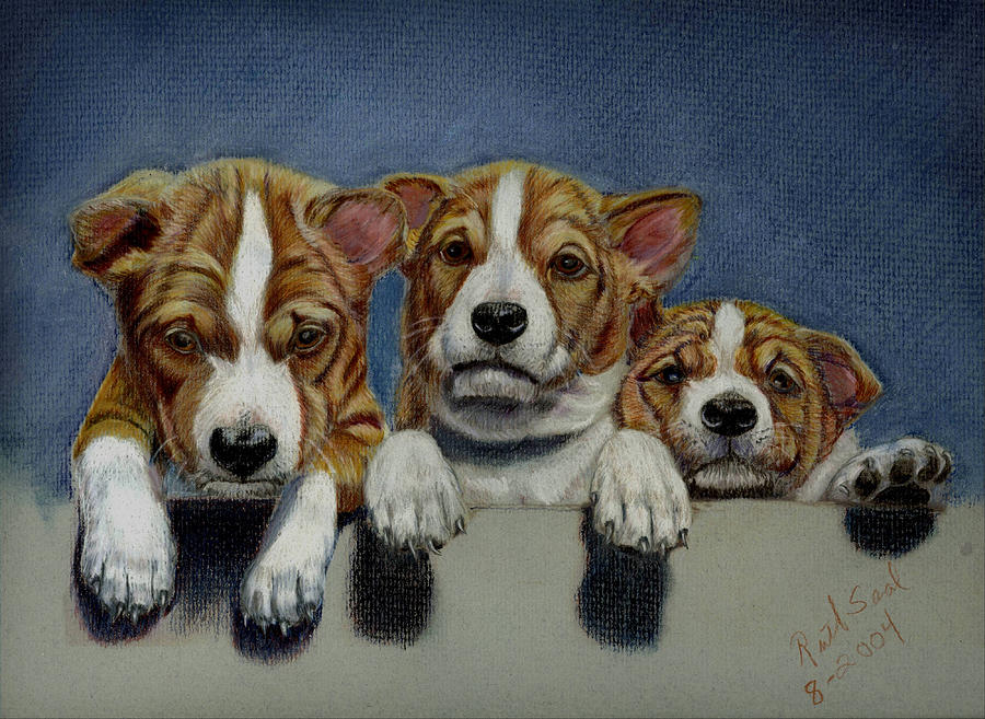 Mammal Painting - Basenji Puppies by Ruth Seal