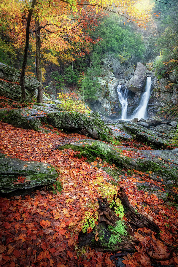 Bash Bish Falls New England Fall Foliage Photograph by Bill Wakeley