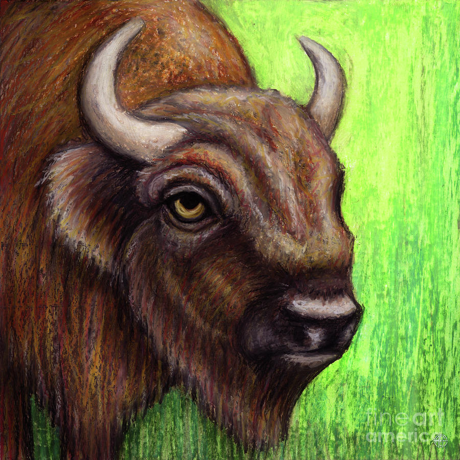 Bashful Bison  Painting by Amy E Fraser