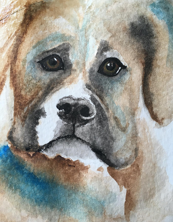 Bashful Boxer Painting by Christine Marie Rose