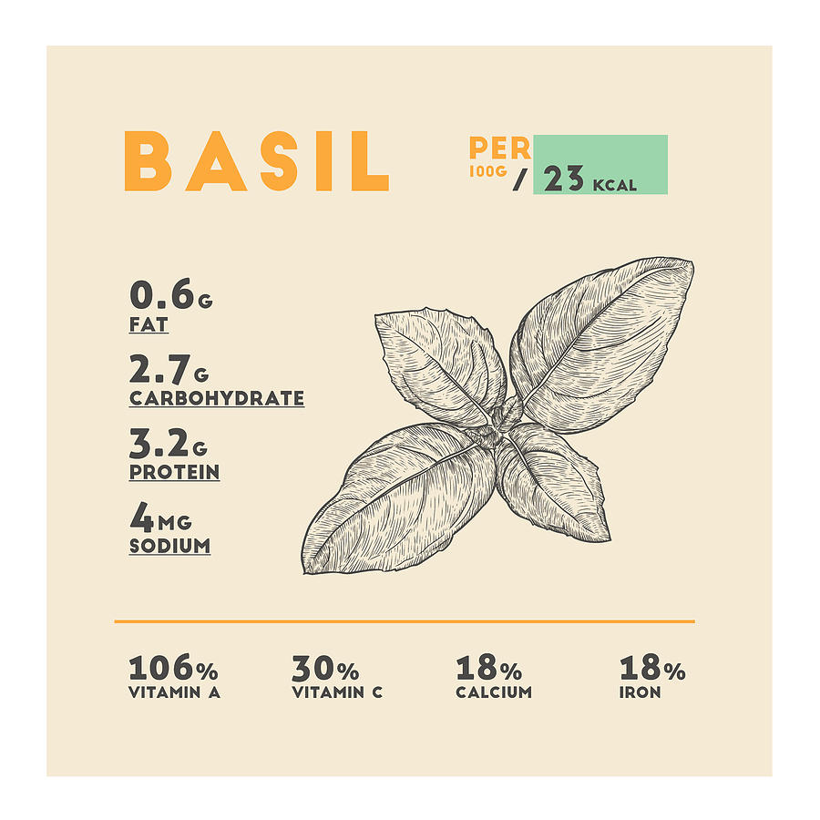 Basil Nutrition Facts by Beautify My Walls