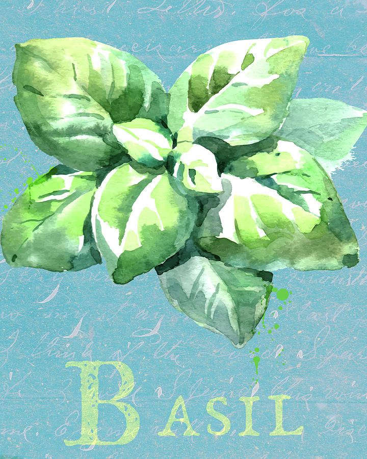 Basil The Herb Mixed Media