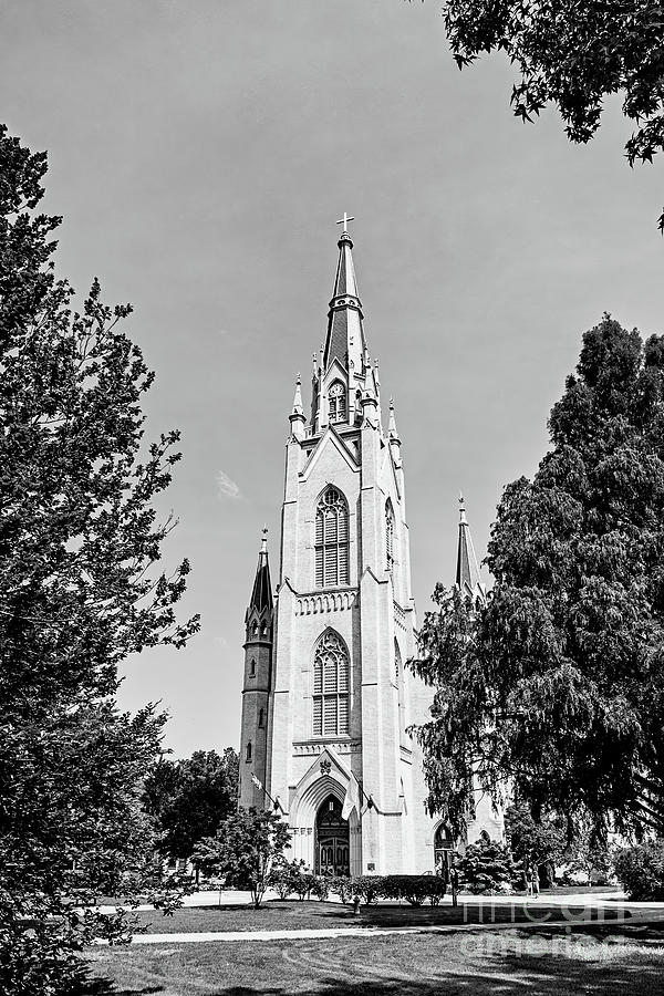 Architecture Photograph - Basilica of the Sacred Heart Notre Dame - BW by Scott Pellegrin